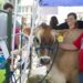 5 eventos divertidos acontecendo em Madison esta semana, de 4 a 10 de junho 🖼️🐮♫ | Entretenimento