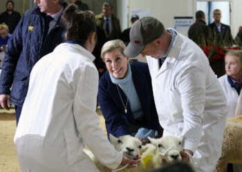 A Duquesa de Edimburgo visitará o Royal Welsh Show deste ano