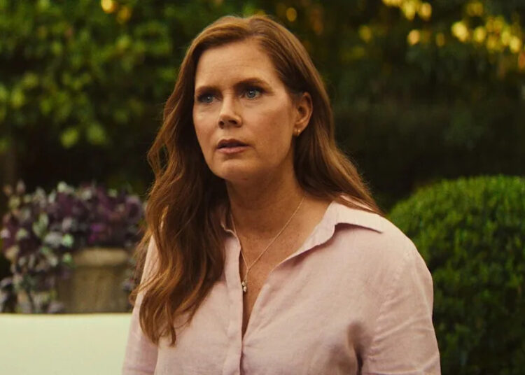 A Internet não para de falar sobre a filha da celebridade Amy Adams que se parece (e não é a mãe dela)