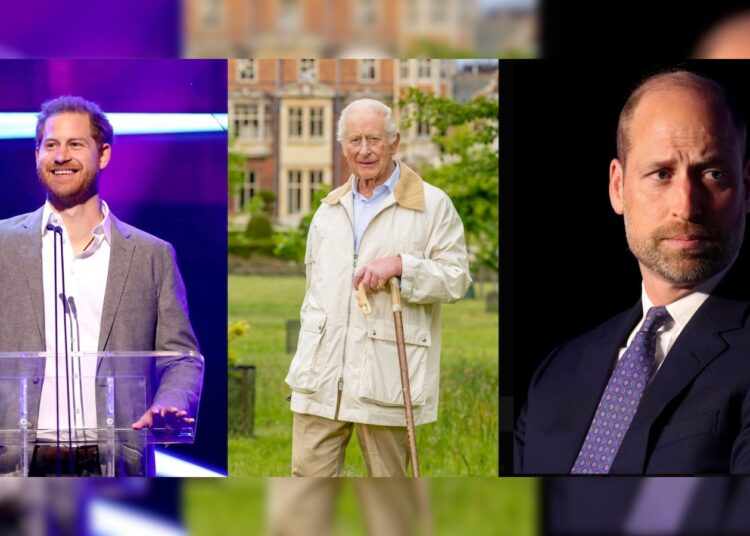 A reunião do príncipe Harry com o rei Charles pode não resolver o conflito com o príncipe William: relatório