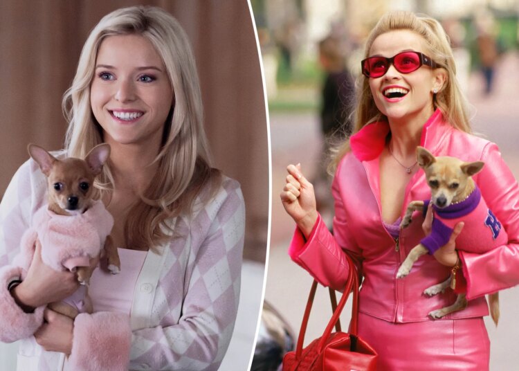 A série prequela de 'Legally Blonde' 'Elle' não é surpreendentemente ruim: crítica