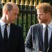 A visita do príncipe Harry e Meghan Markle ao Reino Unido é uma “fonte de profunda irritação” para o príncipe William