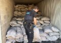 Atriz de Hollywood Emaa Hussen acusada de tentar contrabandear 300 kg de metanfetamina para a Austrália