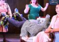 Cape Rep apresentará 'The Real Inspector Hound' | Artes e Entretenimento