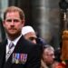 Chaos at the King’s Court – by Tom Sykes