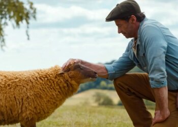 Como assistir ‘The Sheep Detectives’ gratuitamente no Prime Video