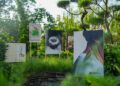 Da comédia à música clássica, novos eventos culturais em Bali
