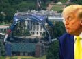 Evento de luta na jaula Freedom 250 / aniversário de Donald Trump desprezado por celebridades