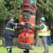FOTOS: Totem restaurado fica novamente do lado de fora do Victoria's Royal BC Museum