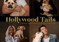 Fotógrafos compartilham anos de retratos de animais de estimação de celebridades que mostram as estrelas como se fossem 'autênticas' (exclusivo)