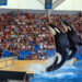 França enviará suas últimas orcas em cativeiro para parque marinho, não para santuário