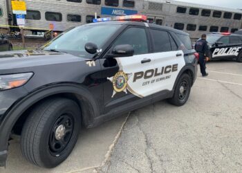 Homem agride trabalhador no local de entretenimento de Elmhurst: policiais