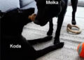Kate Gosselin revela resultados ‘absolutamente chocantes’ do teste de DNA para seu Malinois