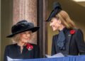 Kate Middleton e Camilla gêmeas involuntariamente em bolinhas