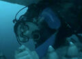 Lula gigante arrasta Austin Abrams para dentro de uma baleia gigante no emocionante trailer de “Whalefall”