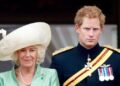 O retorno do príncipe Harry pode não incluir uma chave real – especialista