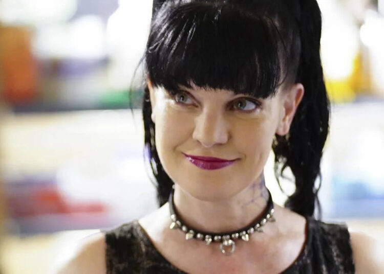 Pauley Perrette e Brian Dietzen compartilham uma foto emocionante da reunião após anos separados