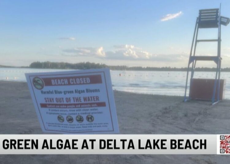 Praia do Delta Lake State Park fechada devido a algas verde-azuladas | Entretenimento