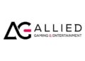 Preço das ações, notícias e análises da Allied Gaming & Entertainment (AIFA)