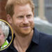 Príncipe Harry: a Rainha Elizabeth II deu ao Príncipe Harry 'uma condição' antes da saída real com Meghan Markle - Detalhes internos