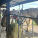 Programa do condado considerado 'o melhor' pelo famoso agricultor