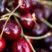 Quão populares as cerejas do Bing receberam esse nome no Oregon do século 19 | Entretenimento