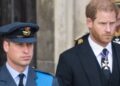 RECAPITULAÇÃO DA FAMÍLIA REAL: Divulgada realidade devastadora sobre William e Harry | Real | Notícias