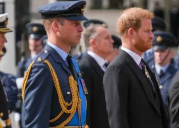 Royal Rift entre o Príncipe Harry e o Príncipe William abordado pelo ex-secretário particular