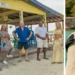 Shark Australia 2026: elenco de celebridades, guias e onde assistir