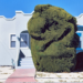 “Tieton Cria” na Galeria Boxx | Artes e Entretenimento