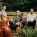 Tone Forest traz jazz contemporâneo para Next Stage Arts | Entretenimento