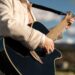 Westshore Town Center apresenta programação de eventos musicais de verão