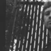 13 novas músicas lançadas hoje para ouvir: Greg Freeman, Sylvan Esso e mais