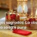 ¿Sabías que por no mezclarse con el mundo la realeza deformó su propia genética?