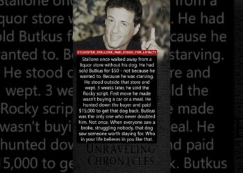 SYLVESTER STALLONE PAID $15000 FOR LOYALTY