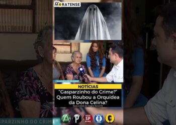Quem Roubou a Orquídea da Dona Celina? #news #notícias #curiosidades #fofocas #fantasma