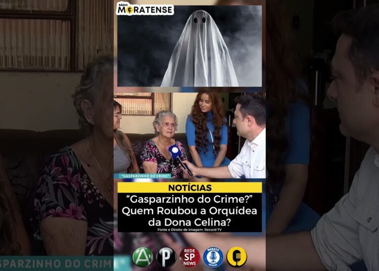 Quem Roubou a Orquídea da Dona Celina? #news #notícias #curiosidades #fofocas #fantasma