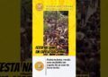 Festa na lama, tradicional festa do mastro, reunião foliões em Capela Sergipe, ao som de Xand Avião