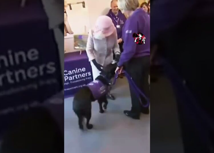 👑 Isabel II en su era “”dog lover”” máxima 🐾