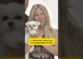 4 celebrities who are unrecognizable today