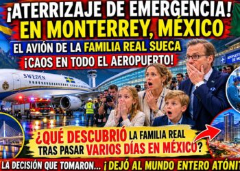 La realeza sueca aterrizó de emergencia en Monterrey antes del Suecia-Túnez y Europa quedó en shock