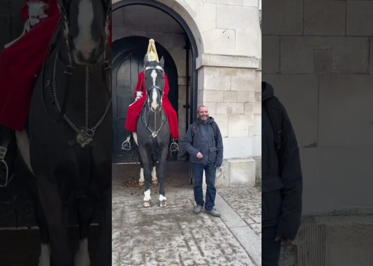 King’s Guard ❤️ Royal Horse 🐎❤️#kingsguard#horseguardsparade#peterellis#soldier#tourist
