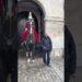 King’s Guard ❤️ Royal Horse 🐎❤️#kingsguard#horseguardsparade#peterellis#soldier#tourist