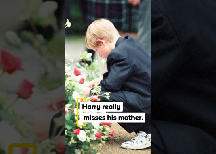 Harry and Diana..!! #royal #diana #princeharry