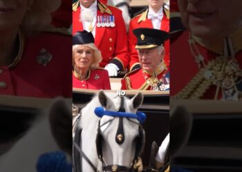 ¡William Evitó un GRAN Error del Rey Carlos III en Pleno Desfile!
