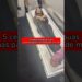 5 celebridades e suas últimas palavras antes de morrer. A última é realmente de partir o coração.