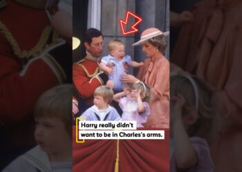 #royal #diana #kingcharles #princelouis #princeharry