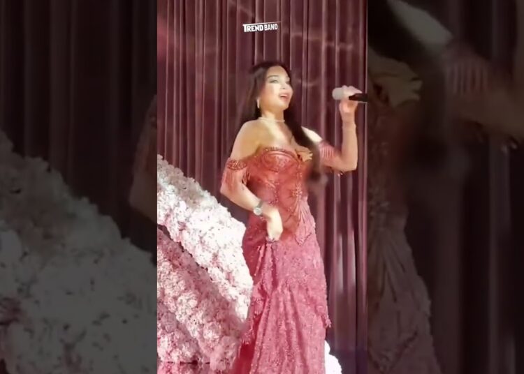 بوصلات رقص خليجية   هيفاء وهبي تلهب حفل زفاف في دبي