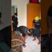 Como a fofoca espalha 🤣 #humor #shorts #viral #fyp #funny