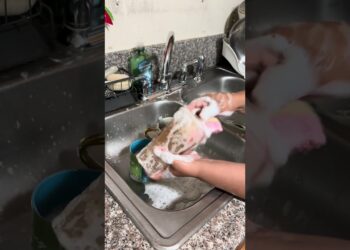 Chismecitos ajenos #cleaning